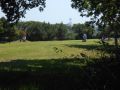 DSCN0869