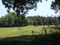 DSCN0870